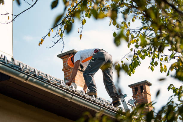 Quick and Trustworthy Emergency Roof Repair Services in Charlottesville, VA